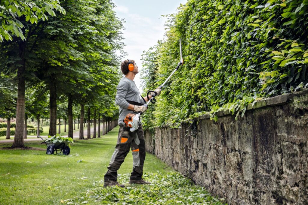 hedge maintenance