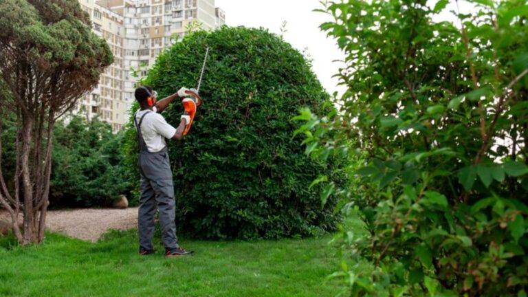 The Benefits of Regular Hedge Maintenance: A Guide for Homeowners