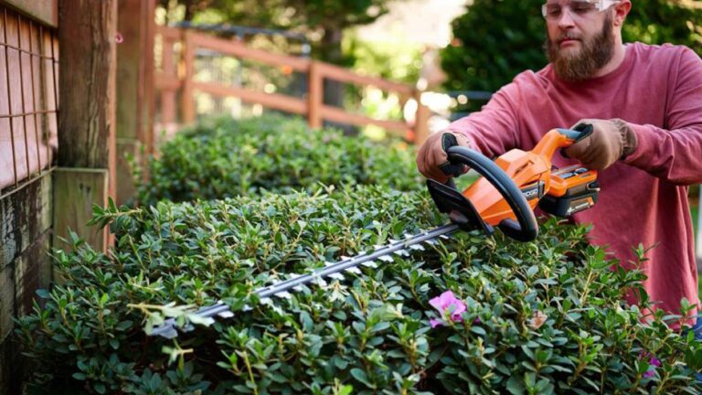 Residential Hedge Trimming: Tips for a Tidy and Well-Maintained Garden