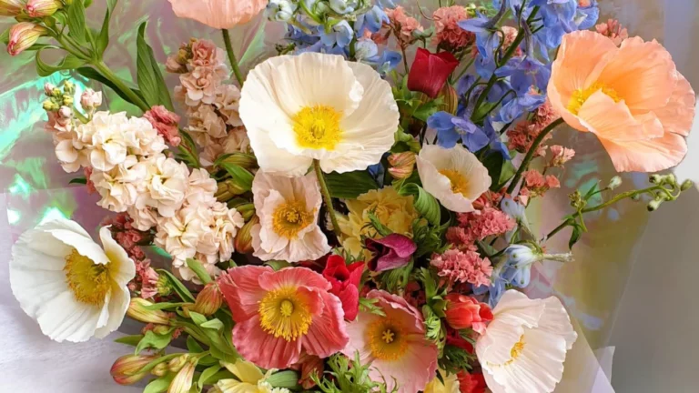 Beautiful Arrangements with Milsons Point Flower Delivery