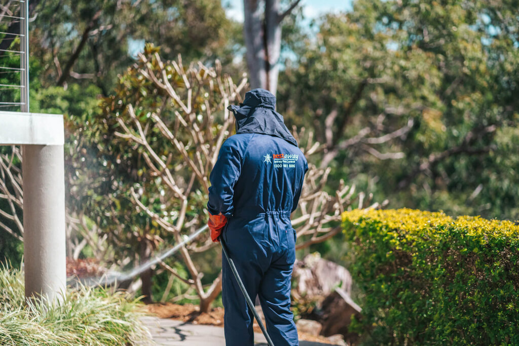 How to Choose the Best Pest Control Sydney for Your Home and Business