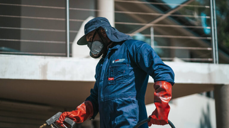How to Choose the Best Pest Control Sydney for Your Home and Business