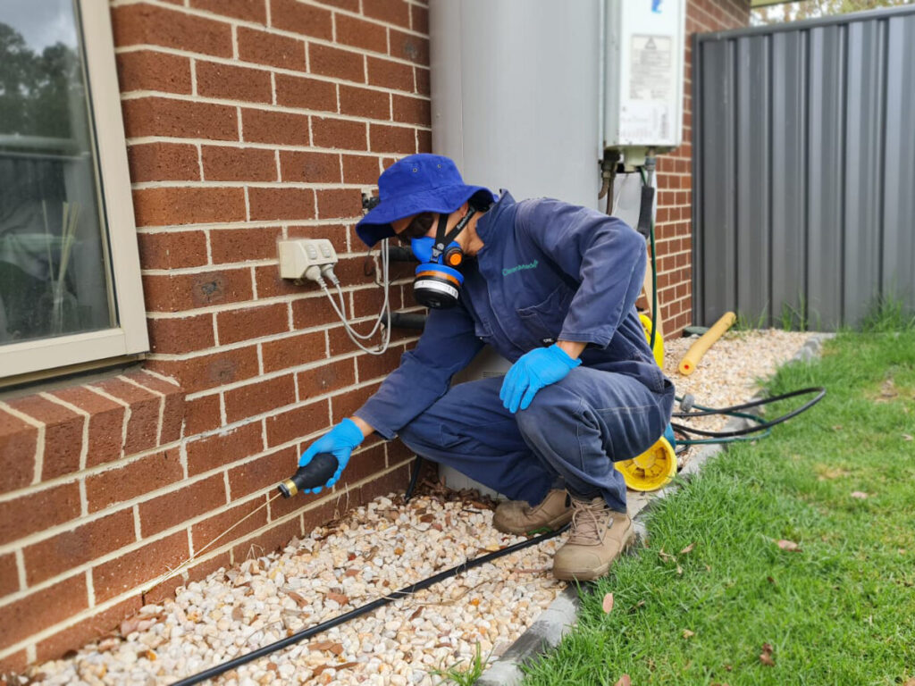 How to Choose the Best Pest Control Sydney for Your Home and Business