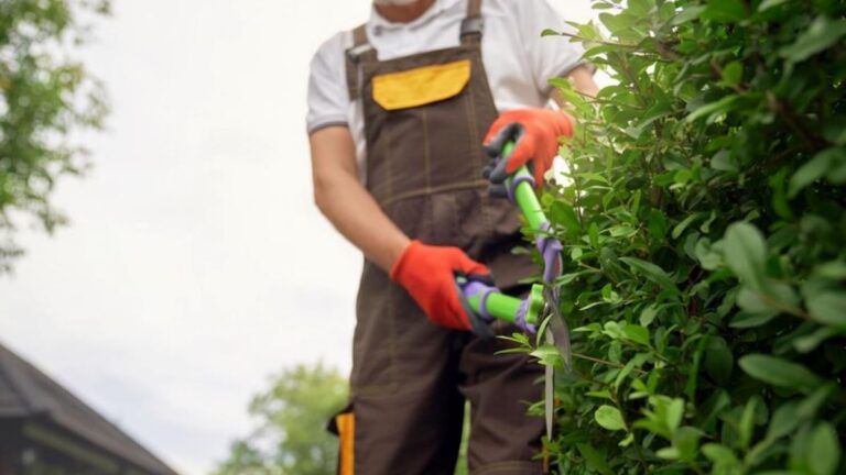 Commercial Hedge Trimming Services: Enhancing Curb Appeal