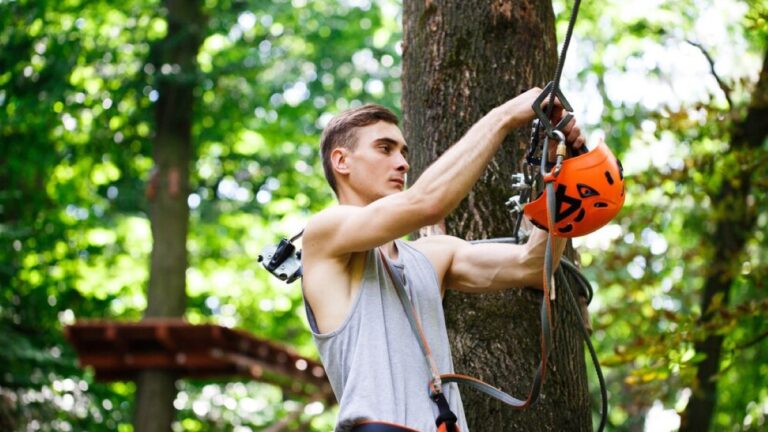 Tree Pruning Eastern Suburbs: Trusted Local Experts